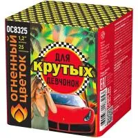 Салют Для крутых девчонок New ОС8326 купить от производителя Огненный Цветок — Аша
