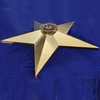 Звезда вечный огонь (1628) поставка комплект горелка ГВД 379 10 89 00 ПС ø 1100 мм. пустотелая  в Аше
